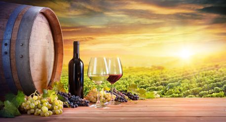 Erfolgreicher Weinhandel in Münster und deutschlandweit seit über 30 Jahren - Weinhandel Monasteria e.K. 